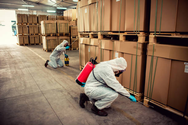 Wildlife Control Services in Marysville, OH