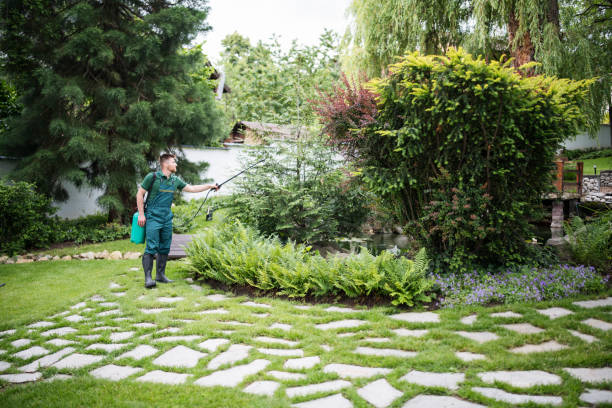 Best Cockroach Control Services  in Marysville, OH