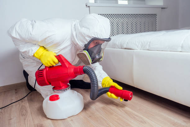 Best Rat Extermination Near Me  in Marysville, OH