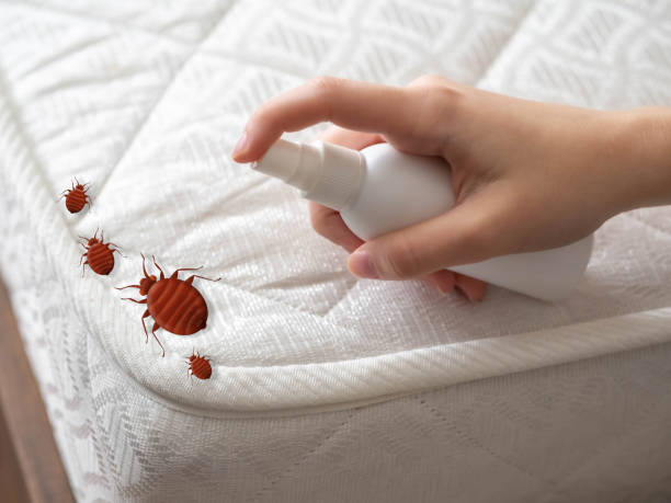 Best Ant Control Services  in Marysville, OH