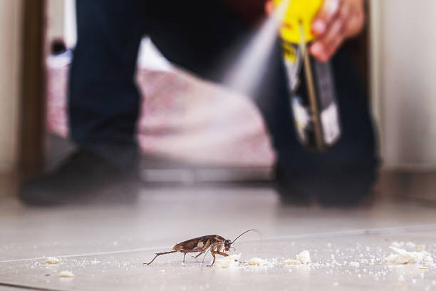 Best Pest Removal Services  in Marysville, OH